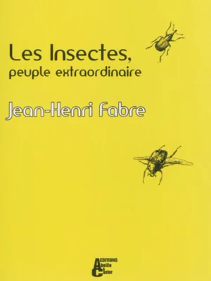 Les Insectes, peuple extraordinaire - Couverture du livre